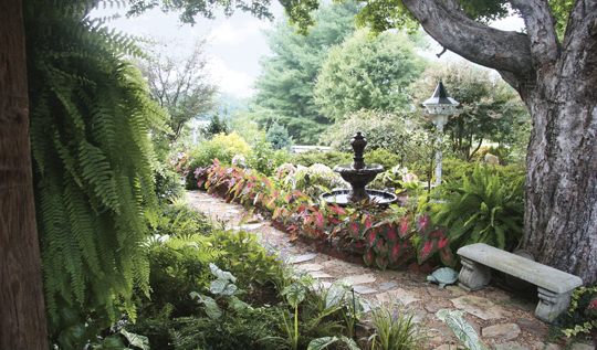 Evva Hanes' garden