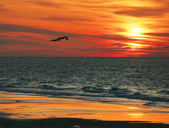 NC coastal sunrise